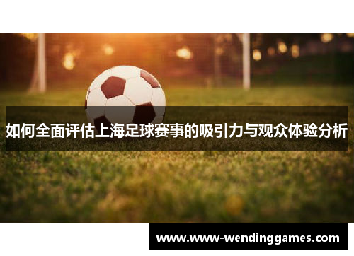 如何全面评估上海足球赛事的吸引力与观众体验分析