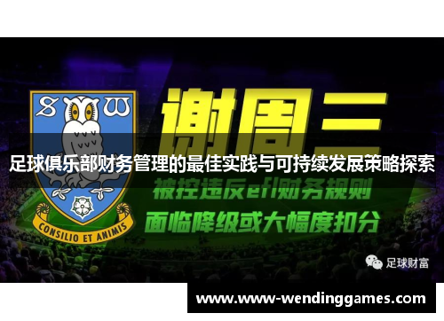 足球俱乐部财务管理的最佳实践与可持续发展策略探索