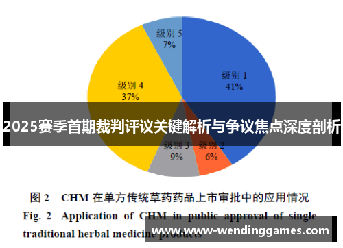 2025赛季首期裁判评议关键解析与争议焦点深度剖析