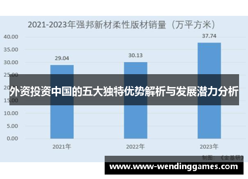 外资投资中国的五大独特优势解析与发展潜力分析