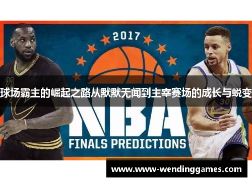 球场霸主的崛起之路从默默无闻到主宰赛场的成长与蜕变