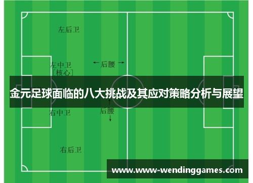 金元足球面临的八大挑战及其应对策略分析与展望