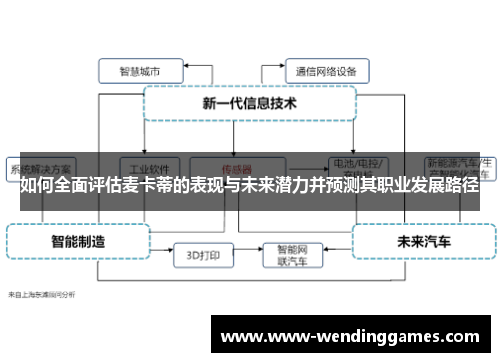 如何全面评估麦卡蒂的表现与未来潜力并预测其职业发展路径