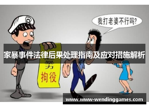 家暴事件法律后果处理指南及应对措施解析