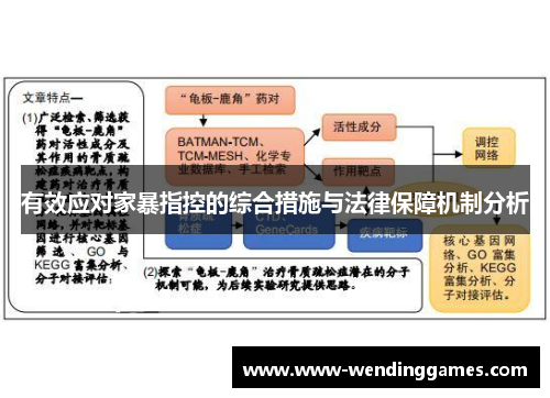 有效应对家暴指控的综合措施与法律保障机制分析