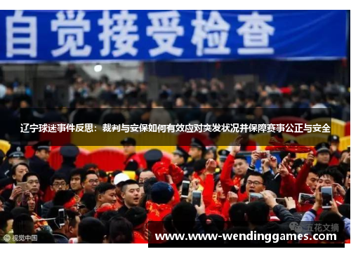 辽宁球迷事件反思：裁判与安保如何有效应对突发状况并保障赛事公正与安全