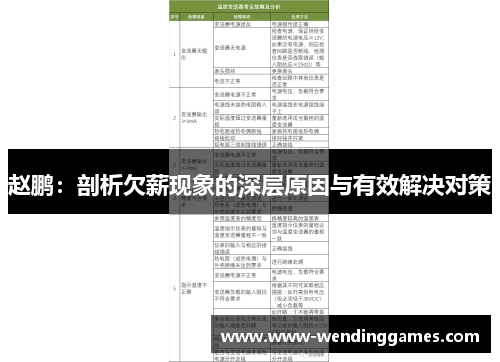 赵鹏：剖析欠薪现象的深层原因与有效解决对策