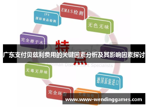 广东支付贝兹利费用的关键因素分析及其影响因素探讨