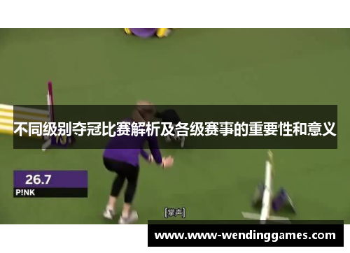 不同级别夺冠比赛解析及各级赛事的重要性和意义