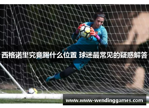 西格诺里究竟踢什么位置 球迷最常见的疑惑解答