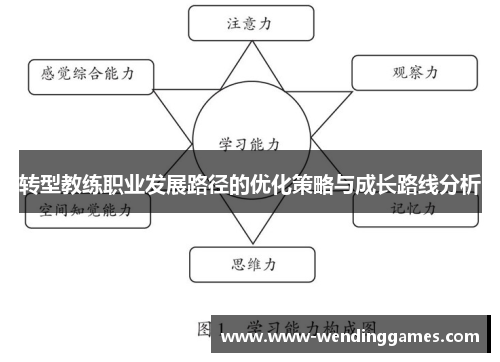 转型教练职业发展路径的优化策略与成长路线分析