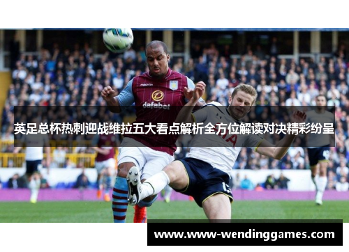 英足总杯热刺迎战维拉五大看点解析全方位解读对决精彩纷呈